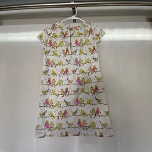 This dress is for the birds. Crew cuts shift